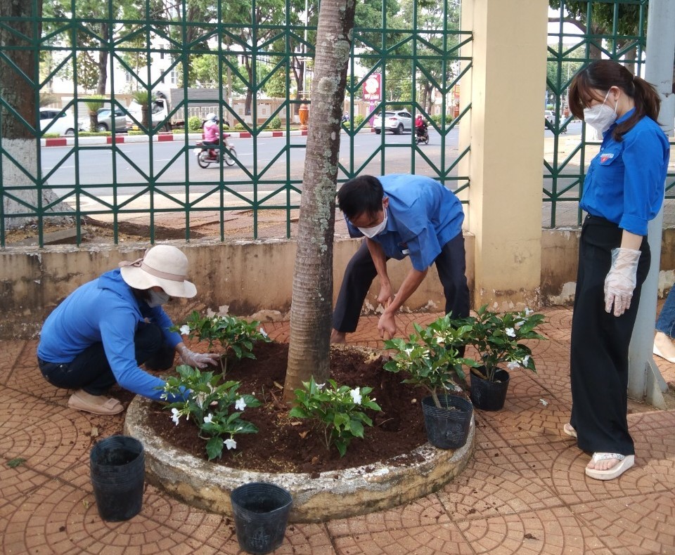 Chi đoàn Thanh niên hưởng ứng Phong trào Ngày Chủ nhật xanh
